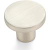 Brushed Nickel