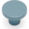 imageRavinte 20 Pack Cabinet Knobs Black Kitchen Cabinet Knobs Round Dresser Drawer Knobs Matte Black Drawer Pulls Closet Door Knobs 115 InchLight Blue
