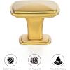 imageRavinte 25 Pack Matte Black Kitchen Cabinet Square Knob Single Hole Cabinet Hardware for Dresser Drawer Pulls and KnobsGold